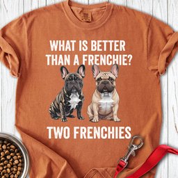 Better Than A Frenchie Premium Tee Gift For Dog Lover