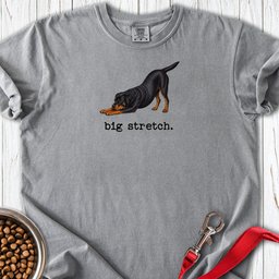 Big Stretch Fox Rottweiler Premium Tee Gift For Dog Lover