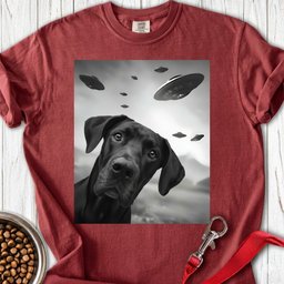 Black Great Dane Ufo Premium Tee Gift For Dog Lover