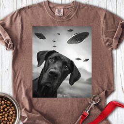 Black Great Dane Ufo Premium Tee Gift For Dog Lover
