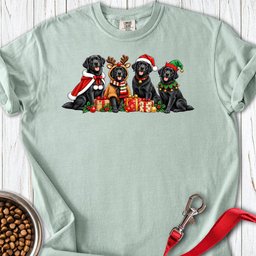 Black Labrador Group Christmas Premium Tee Gift For Dog Lover