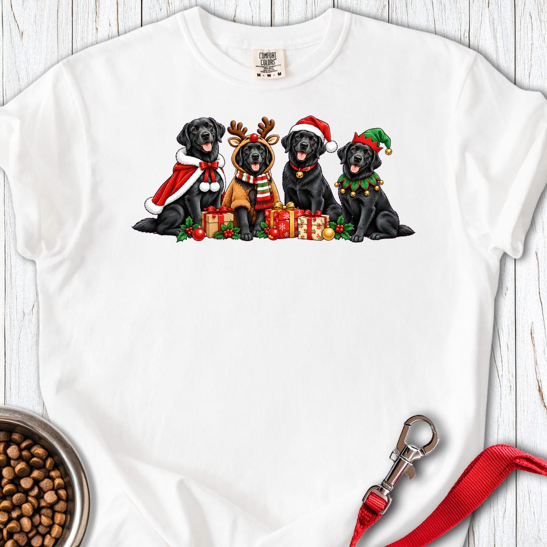 Black Labrador Group Christmas Premium Tee Gift For Dog Lover