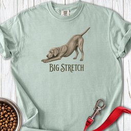 Big Stretch Weimaraner Premium Tee Gift For Dog Lover