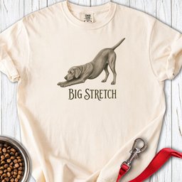 Big Stretch Weimaraner Premium Tee Gift For Dog Lover