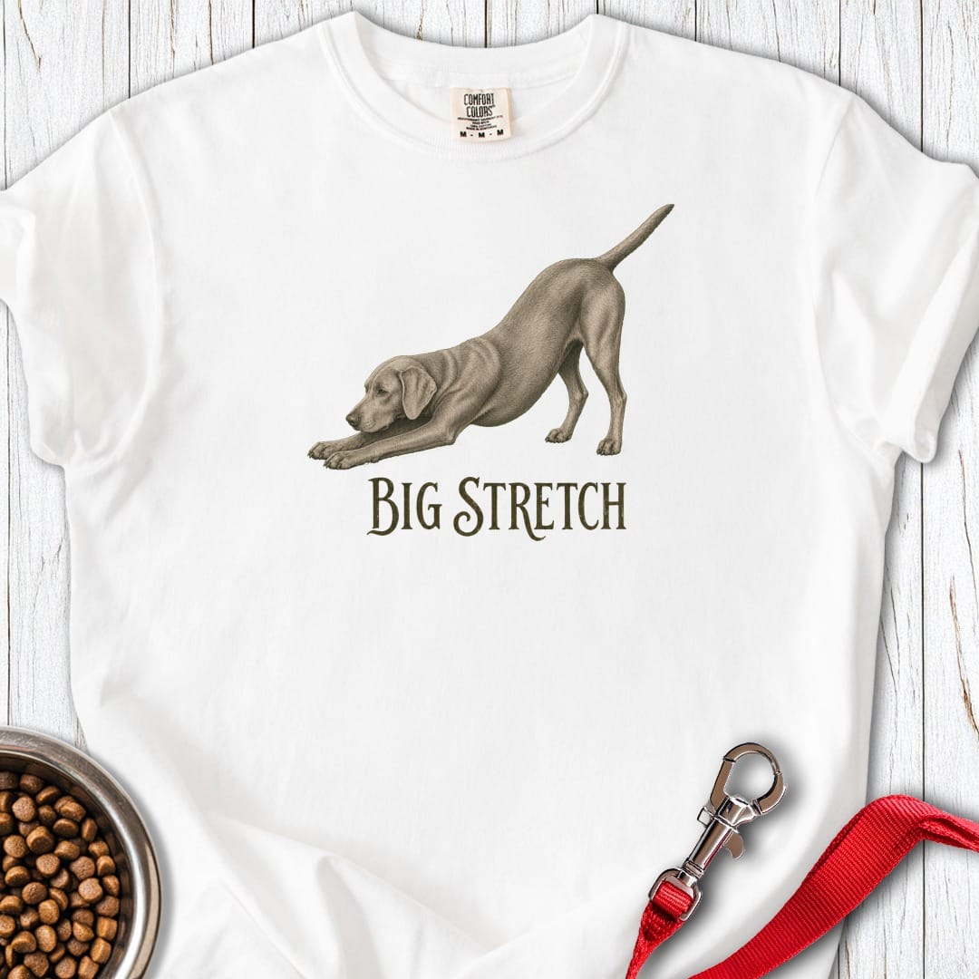 Big Stretch Weimaraner Premium Tee Gift For Dog Lover