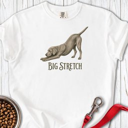 Big Stretch Weimaraner Premium Tee Gift For Dog Lover
