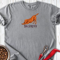 Big Stretch Fox Red Labrador Premium Tee Gift For Dog Lover