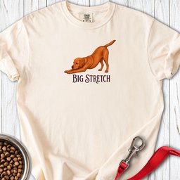 Big Stretch Fox Red Labrador Premium Tee Gift For Dog Lover