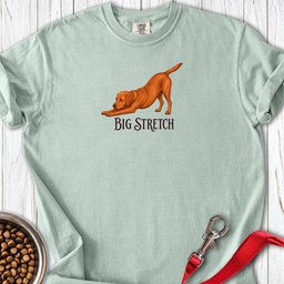 Big Stretch Fox Red Labrador Premium Tee Gift For Dog Lover