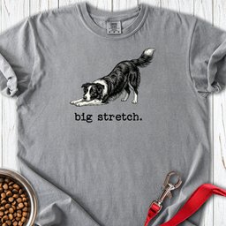 Border Collie Big Stretch Premium Tee Gift For Dog Lover