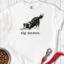 Border Collie Big Stretch Premium Tee Gift For Dog Lover