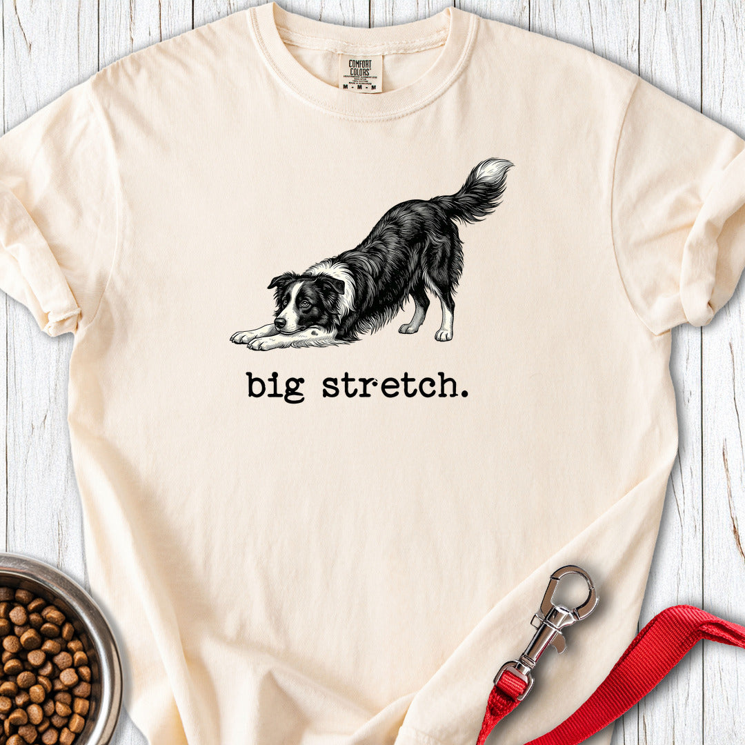 Border Collie Big Stretch Premium Tee Gift For Dog Lover