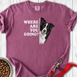Border Collie Alert Premium Tee Gift For Dog Lover