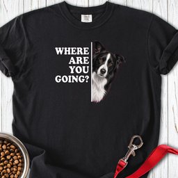 Border Collie Alert Premium Tee Gift For Dog Lover