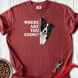 Border Collie Alert Premium Tee Gift For Dog Lover