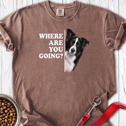 Border Collie Alert Premium Tee Gift For Dog Lover