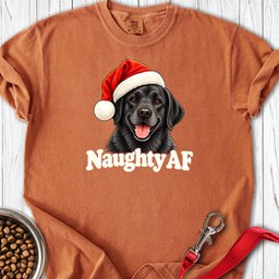 Black Labrador Christmas Naughty Premium Tee Gift For Dog Lover