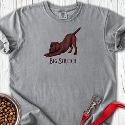 Big Stretch Chocolate Labrador Puppy Premium Tee Gift For Dog Lover