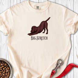 Big Stretch Chocolate Labrador Puppy Premium Tee Gift For Dog Lover