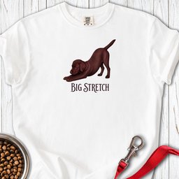Big Stretch Chocolate Labrador Puppy Premium Tee Gift For Dog Lover