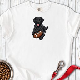 Black Labrador Football Premium Tee Gift For Dog Lover