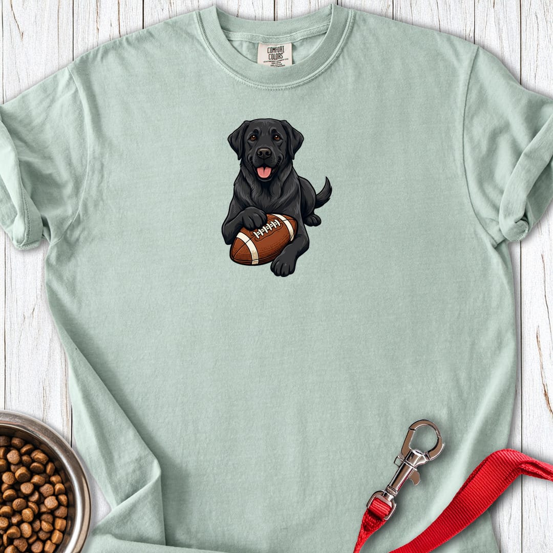 Black Labrador Football Premium Tee Gift For Dog Lover