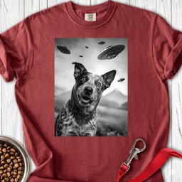 Blue Heeler Ufo Premium Tee Gift For Dog Lover