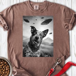 Blue Heeler Ufo Premium Tee Gift For Dog Lover