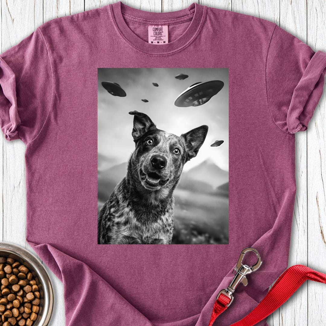 Blue Heeler Ufo Premium Tee Gift For Dog Lover
