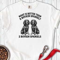Boykin Spaniel What Is Better Than One Premium Tee Gift For Dog Lover