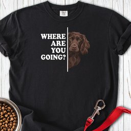 Boykin Spaniel Where Are You Going Premium Tee Gift For Dog Lover