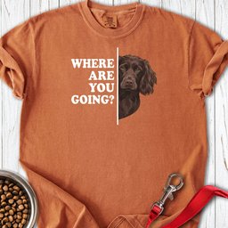Boykin Spaniel Where Are You Going Premium Tee Gift For Dog Lover