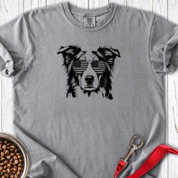 Border Collie USA Premium Tee Gift For Dog Lover
