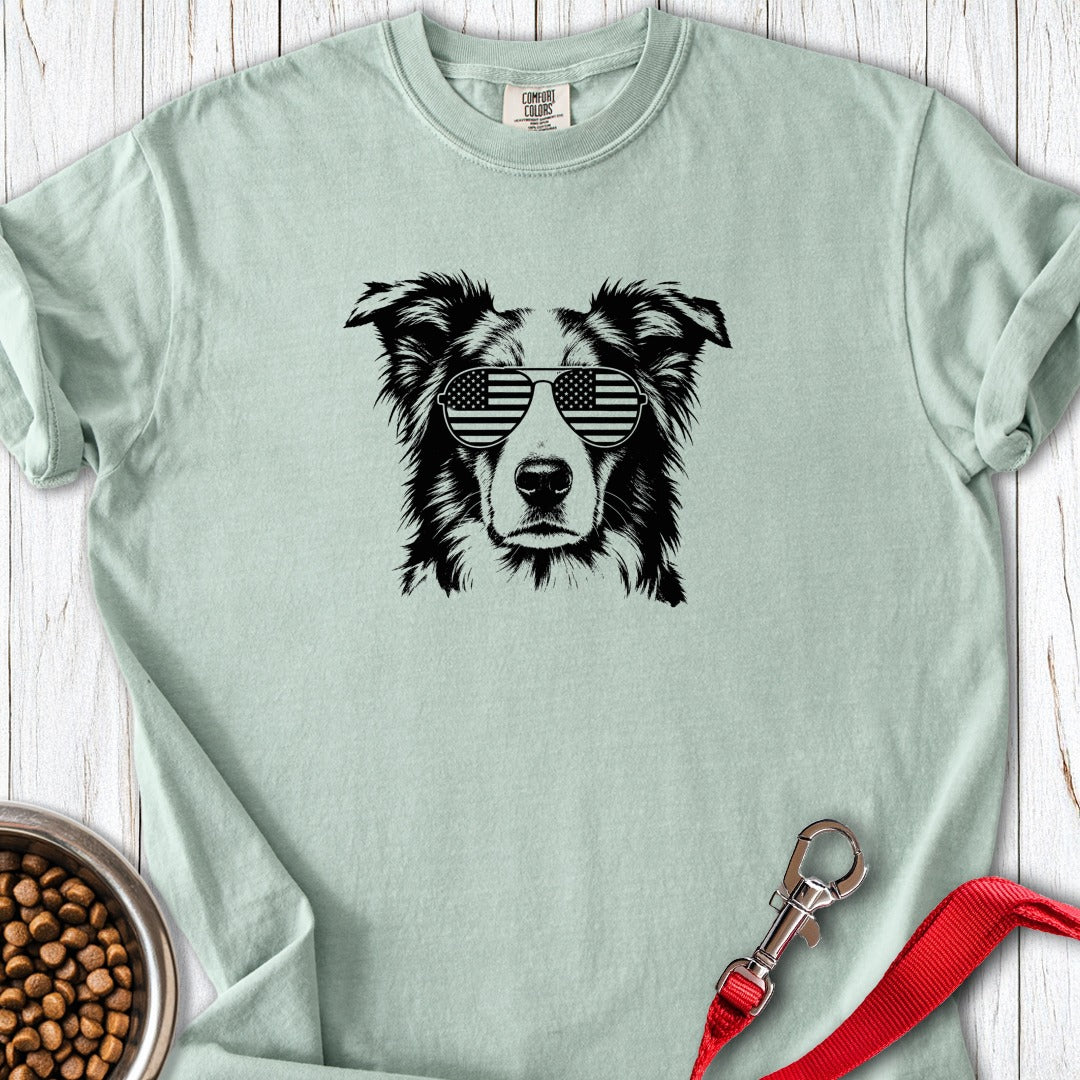 Border Collie USA Premium Tee Gift For Dog Lover
