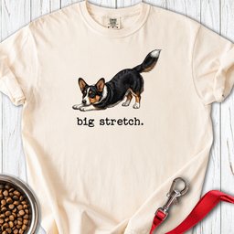 Cardigan Welsh Corgi Big Stretch Premium Tee Gift For Dog Lover