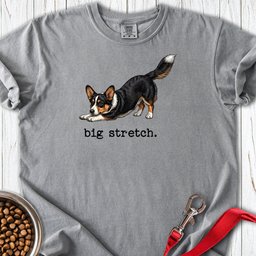 Cardigan Welsh Corgi Big Stretch Premium Tee Gift For Dog Lover