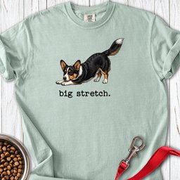 Cardigan Welsh Corgi Big Stretch Premium Tee Gift For Dog Lover