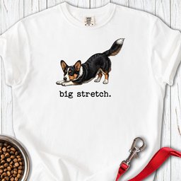 Cardigan Welsh Corgi Big Stretch Premium Tee Gift For Dog Lover
