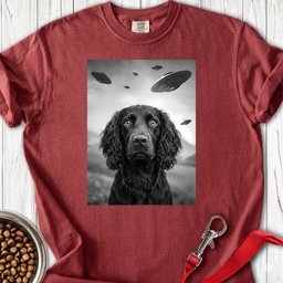 Boykin Spaniel Ufo Premium Tee Gift For Dog Lover