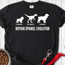 Boykin Spaniel Evolution Premium Tee Gift For Dog Lover