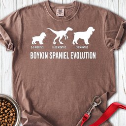Boykin Spaniel Evolution Premium Tee Gift For Dog Lover