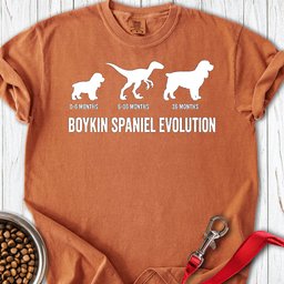 Boykin Spaniel Evolution Premium Tee Gift For Dog Lover