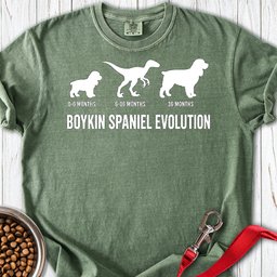 Boykin Spaniel Evolution Premium Tee Gift For Dog Lover
