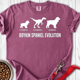 Boykin Spaniel Evolution Premium Tee Gift For Dog Lover