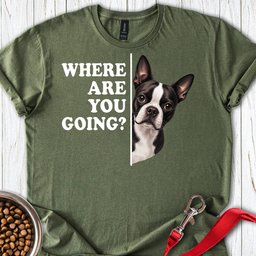 Boston Terrier Where Are You Going T Shirt Gift For Dog Lover
