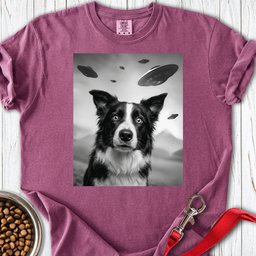 Border Collie Ufo Premium Tee Gift For Dog Lover
