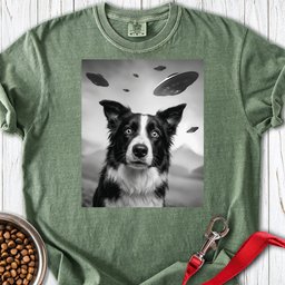 Border Collie Ufo Premium Tee Gift For Dog Lover