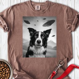 Border Collie Ufo Premium Tee Gift For Dog Lover