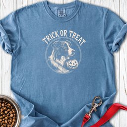 Border Collie Halloween Trick Or Treat Premium Tee Gift For Dog Lover