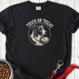 Border Collie Halloween Trick Or Treat Premium Tee Gift For Dog Lover